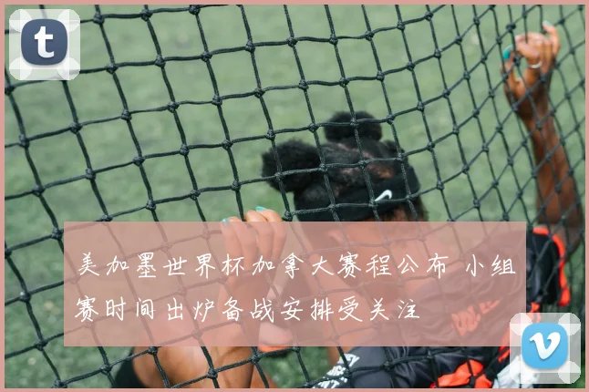 美加墨世界杯加拿大赛程公布 小组赛时间出炉备战安排受关注