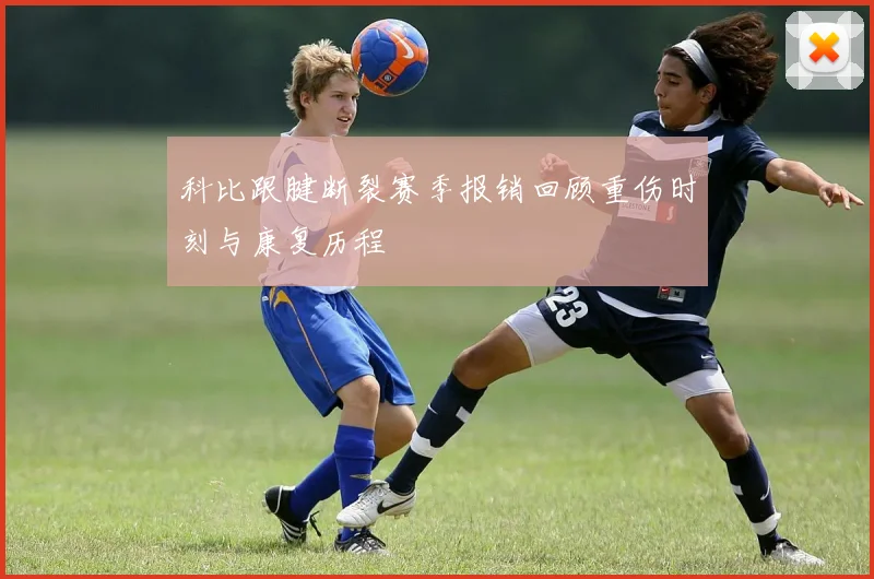 科比跟腱断裂赛季报销回顾重伤时刻与康复历程