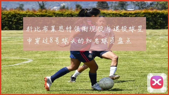 科比布莱恩特领衔现役与退役球星中穿过8号球衣的知名球员盘点