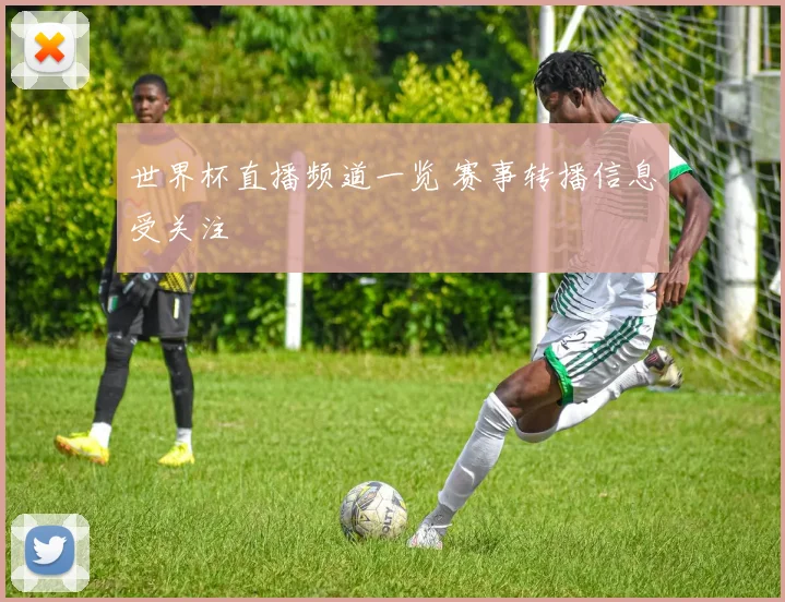 世界杯直播频道一览 赛事转播信息受关注