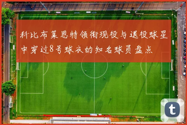科比布莱恩特领衔现役与退役球星中穿过8号球衣的知名球员盘点