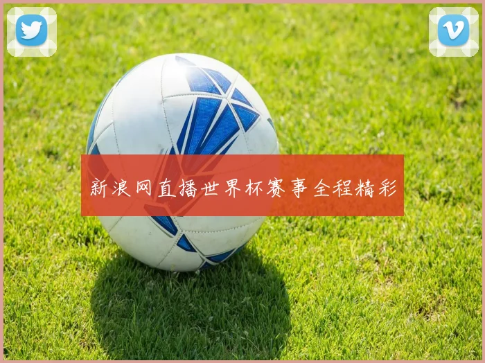 新浪网直播世界杯赛事全程精彩