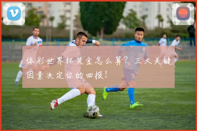 体彩世界杯奖金怎么算？三大关键因素决定你的回报！