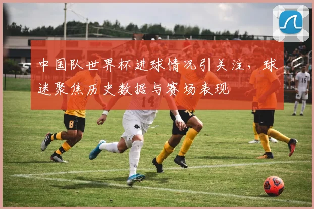 中国队世界杯进球情况引关注，球迷聚焦历史数据与赛场表现
