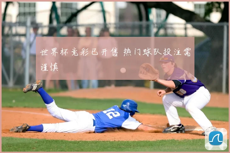 世界杯竞彩已开售 热门球队投注需谨慎