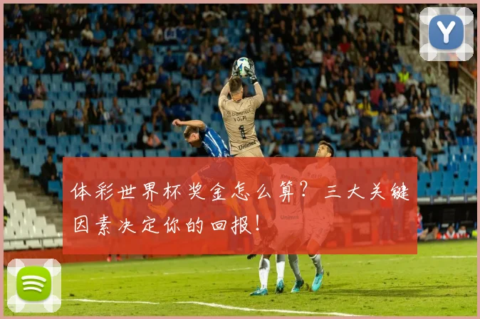 体彩世界杯奖金怎么算?三大关键因素决定你的回报!