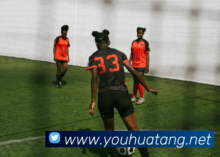 hth网页版在线登录官网平台生态图